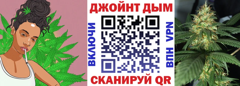 купить наркотик  ссылка на мегу зеркало  Бошки Шишки SATIVA & INDICA  Жуковка 